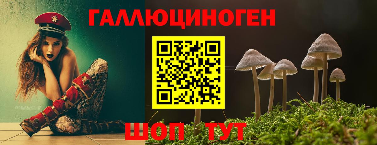 наркотики  Галлюциногенные грибы прущие грибы  Ульяновск  Вход с VPN  Галлюциногенные грибы ЛСД 